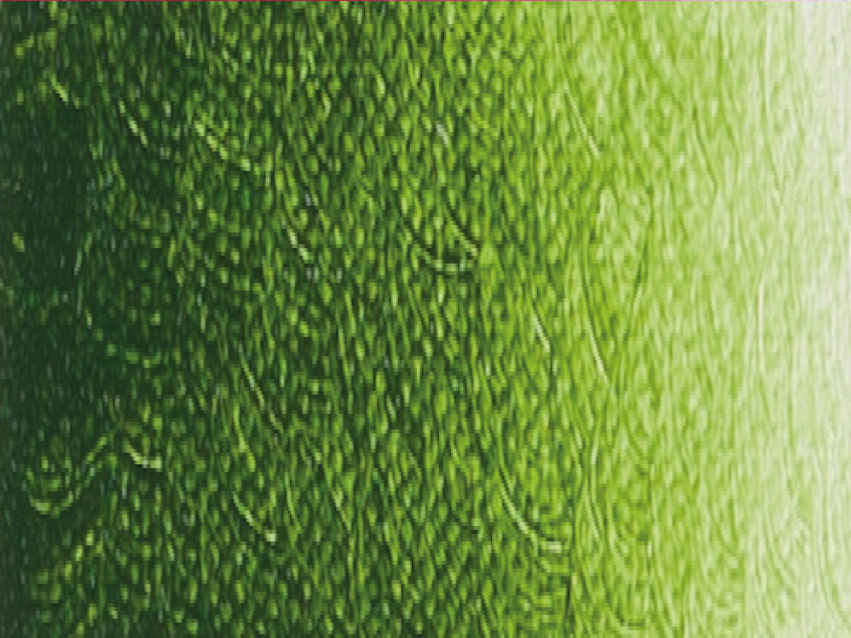 ARA  ACRYLFARBE 100ML 292 SAP GREEN LAKE EXTRA 1