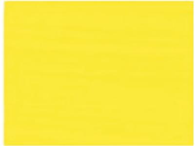 GAMBLIN CONSERVATION COLORS 1/2PAN CADMIUM LEMON YORK OP=OP 1