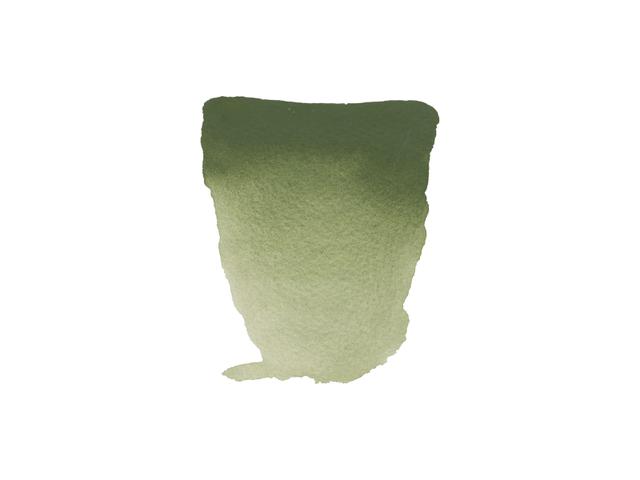 REMBRANDT AQUARELVERF 1/2NAPJE S2 668 CHROOMOXYD GROEN 1
