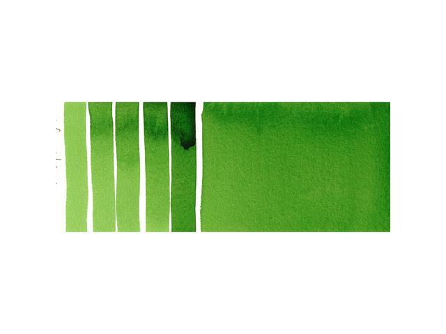 DANIEL SMITH WATERCOLOUR 5ML 042 S1 HOOKER'S GREEN 1