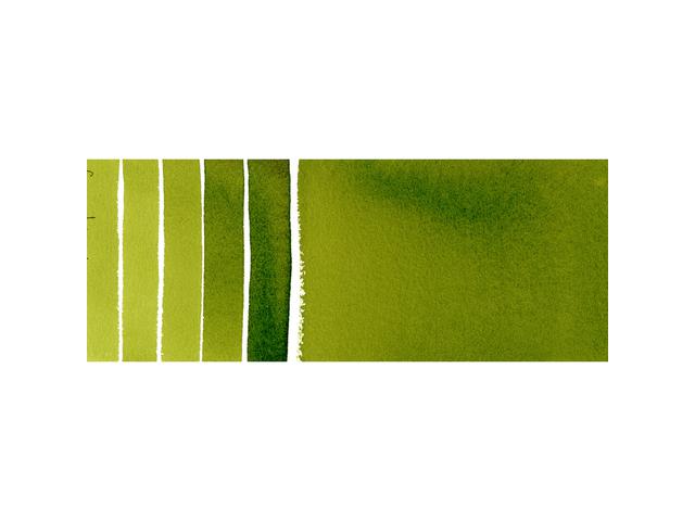 DANIEL SMITH WATERCOLOUR 5ML 102 S2 SAP GREEN 1