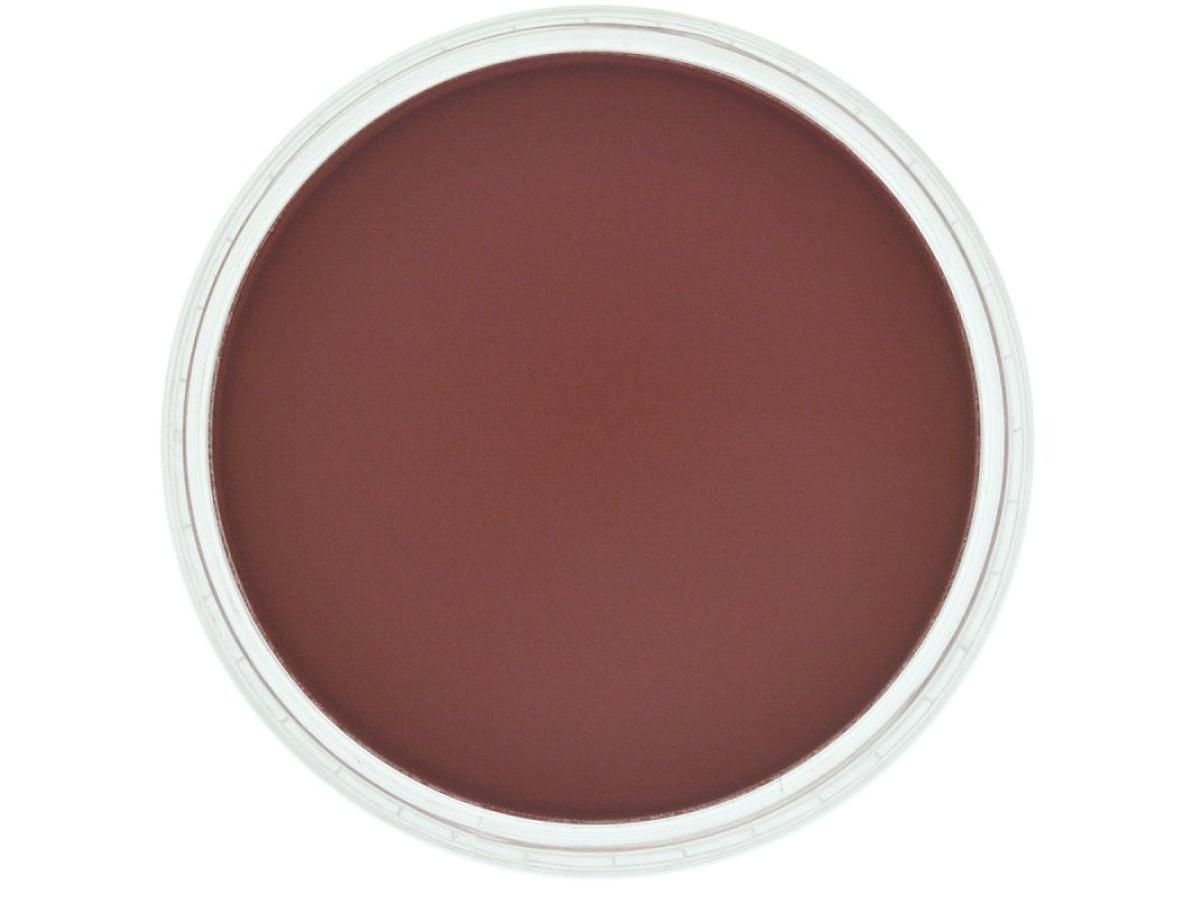 PANPASTEL 9ML RED IRON OXIDE EXTRA DARK 380.1 1
