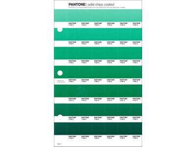 PANTONE PMS SOLID CHIPS ERSATZSEITE 180C 1