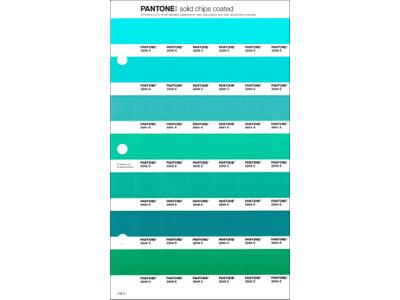 PANTONE PMS SOLID CHIPS ERSATZSEITE 178C 1