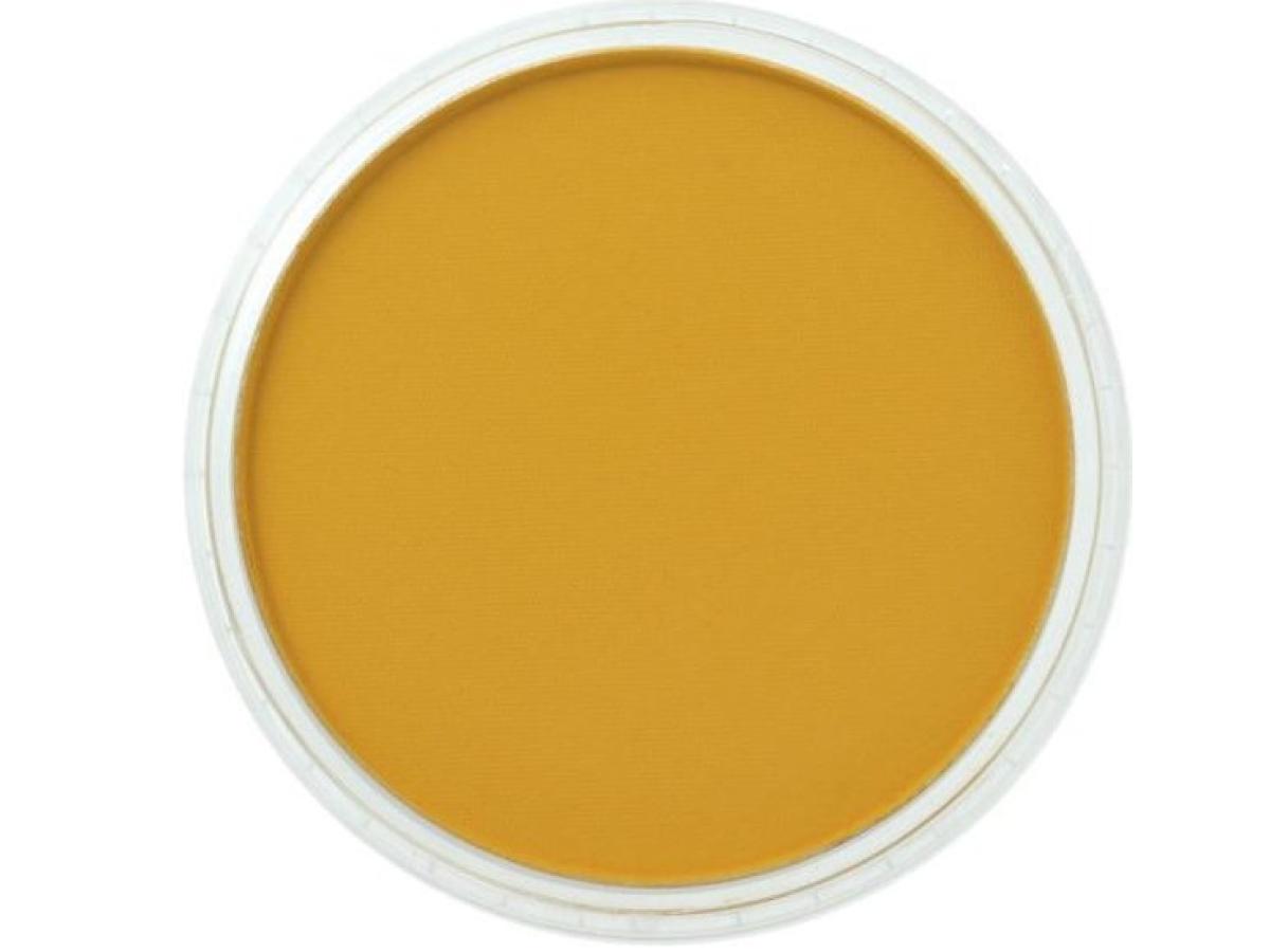 PANPASTEL 9ML YELLOW OCHRE 270.3 1