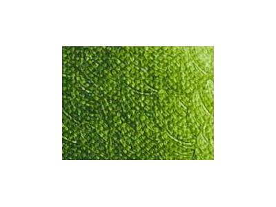 ARA ACRYLFARBE 250ML 292 SAFTGRÜN 1
