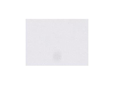 ARA ACRYLFARBE 1000ML 001 TITAN WHITE 1