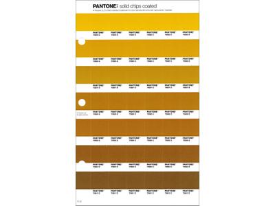 PANTONE PMS SOLID CHIPS ERSATZSEITE 11C 1