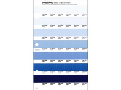 PANTONE PMS SOLID CHIPS ERSATZSEITE 118C 1