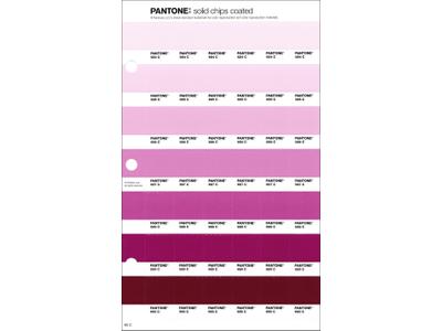 PANTONE PMS SOLID CHIPS ERSATZSEITE 65C 1