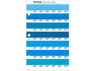 PANTONE PMS SOLID CHIPS ERSATZSEITE 148C 1