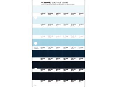 PANTONE PMS SOLID CHIPS ERSATZSEITE 114C 1