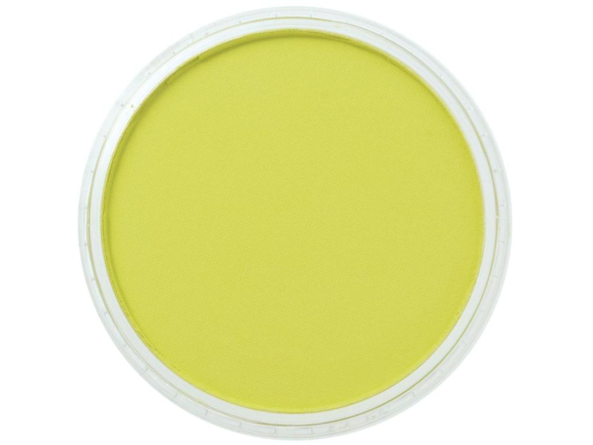 PANPASTEL 9ML BRIGHT YELLOW GREEN 680.5 1