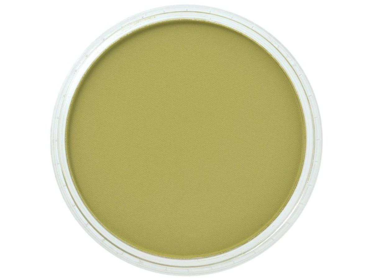 PANPASTEL 9ML BRIGHT YELLOW GREEN SHADE 680.3 1