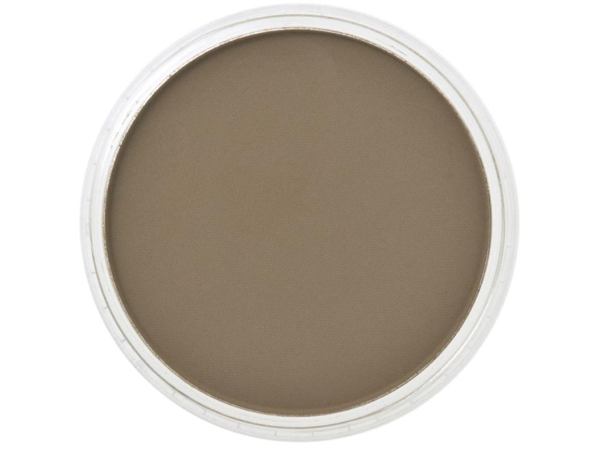 PANPASTEL 9ML RAW UMBER 780.5 1