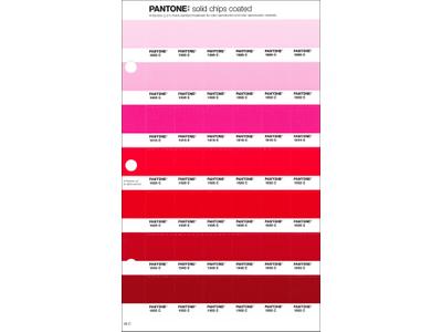 PANTONE PMS SOLID CHIPS ERSATZSEITE 49C 1