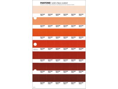 PANTONE PMS SOLID CHIPS ERSATZSEITE 31C 1