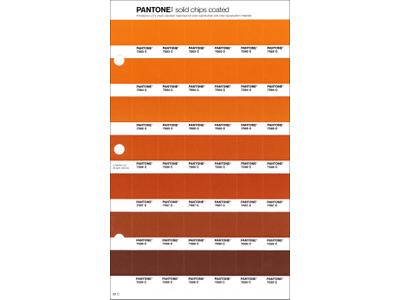 PANTONE PMS SOLID CHIPS ERSATZSEITE 30C 1