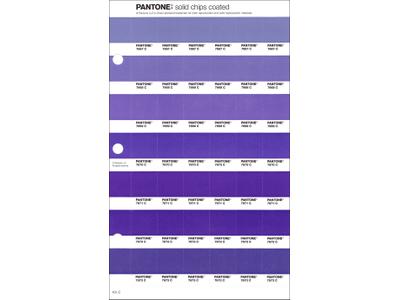PANTONE PMS SOLID CHIPS ERSATZSEITE 101C 1