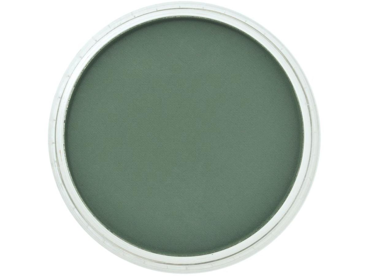 PANPASTEL 9ML PERMANENT GREEN EXTRA DARK 640.1 1