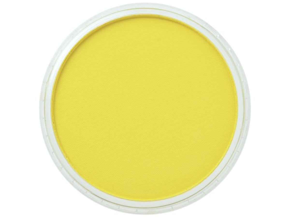 PANPASTEL 9ML HANS YELLOW 220.5 1
