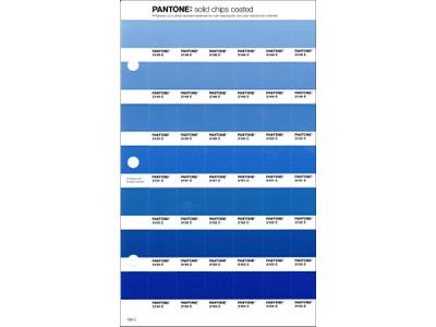 PANTONE PMS SOLID CHIPS ERSATZSEITE 138C 1