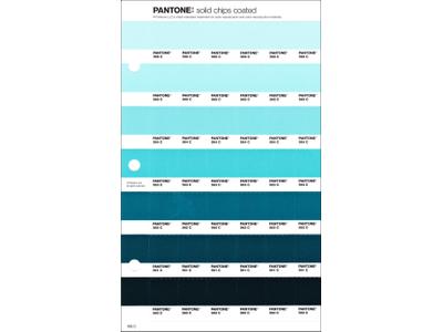 PANTONE PMS SOLID CHIPS ERSATZSEITE 169C 1