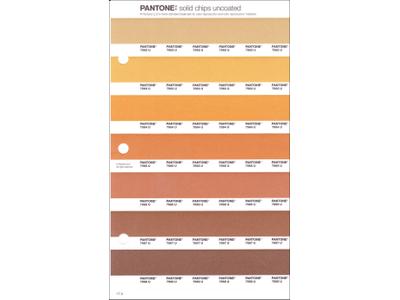 PANTONE PMS SOLID CHIPS ERSATZSEITE 17U 1