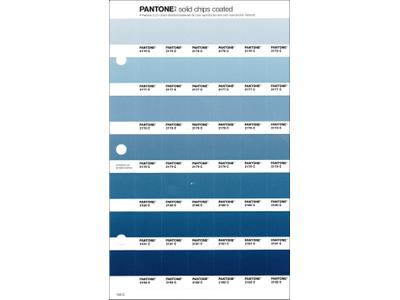 PANTONE PMS SOLID CHIPS ERSATZSEITE 143C 1