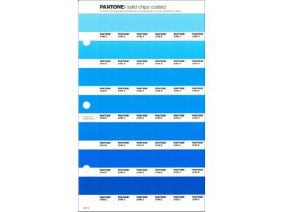 PANTONE PMS SOLID CHIPS ERSATZSEITE 141C 1