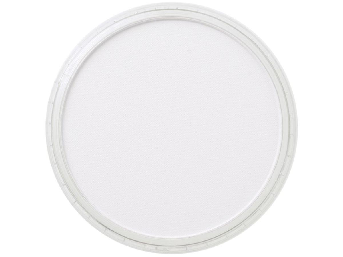 PANPASTEL 9ML PAYNES GREY TINT 840.8 1