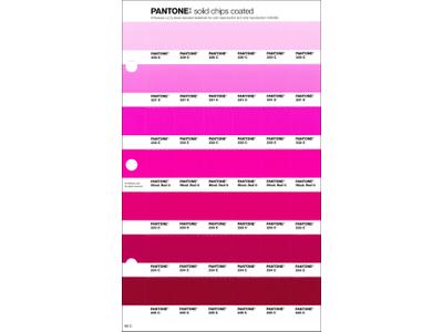 PANTONE PMS SOLID CHIPS ERSATZSEITE 60C 1
