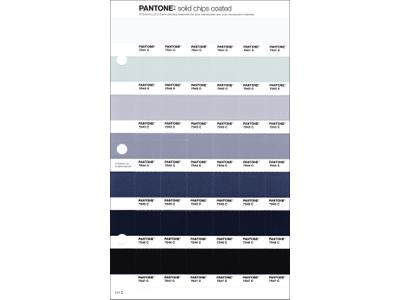 PANTONE PMS SOLID CHIPS ERSATZSEITE 111C 1