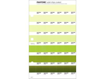 PANTONE PMS SOLID CHIPS ERSATZSEITE 201C 1
