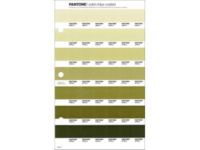 PANTONE PMS SOLID CHIPS ERSATZSEITE 204C 1