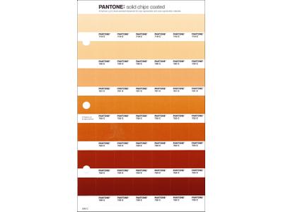 PANTONE PMS SOLID CHIPS ERSATZSEITE 226C 1