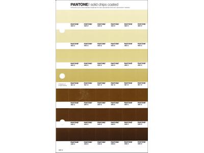 PANTONE PMS SOLID CHIPS ERSATZSEITE 222C 1