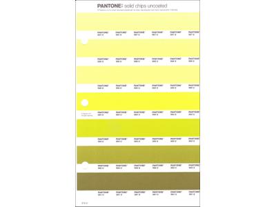 PANTONE PMS SOLID CHIPS ERSATZSEITE 210U 1