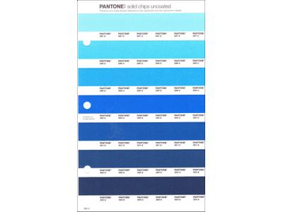 PANTONE PMS SOLID CHIPS ERSATZSEITE 136U 1