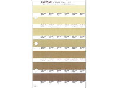 PANTONE PMS SOLID CHIPS ERSATZSEITE 222U 1