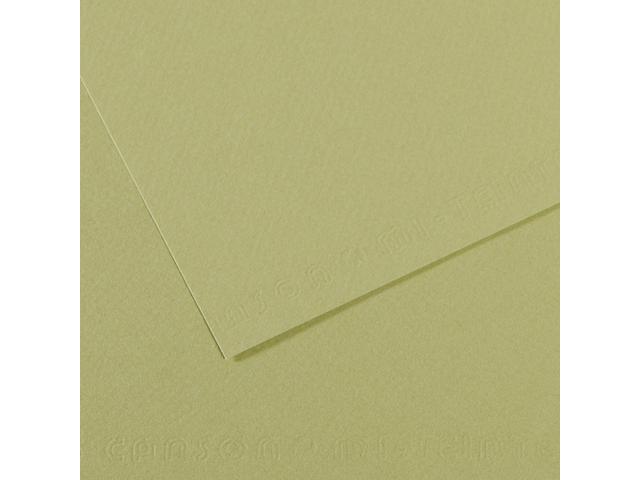 MI-TEINTES 50X65CM 160GR. 480 HELLGRâ”ŒN 1
