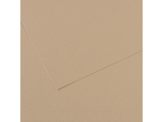 MI-TEINTES 50X65CM 160GR. 343 HELLGRAU 1