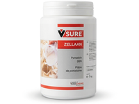 VCB ZELLAN PORZELLANARTIGE GIESSMASSE 1 KG