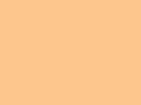 COPIC INKT YR82 MELLOW PEACH COYR82