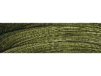 COBRA STUDY WASSERMISCHBARE ÖLFARBE 40ML 620 OLIVGRÜN