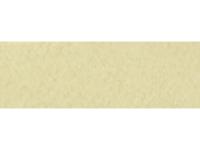 HAHNEMÜHLE INGRES BLATT 48X63CM 100GRAM 024 YELLOWISH