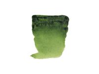 REMBRANDT AQUARELLFARBE 10ML S2 623 SAFTGRÜN