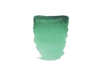 REMBRANDT AQUARELLFARBE 1/2 NÄPFCHEN S2 615 PAUL VERONESERGRÜN