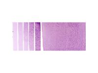 DANIEL SMITH WATERCOLOUR 5ML 108 S1 ULTRAMARINE VIOLET