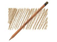 DERWENT LIGHTFAST FARBSTIFT LF2 WARM EARTH